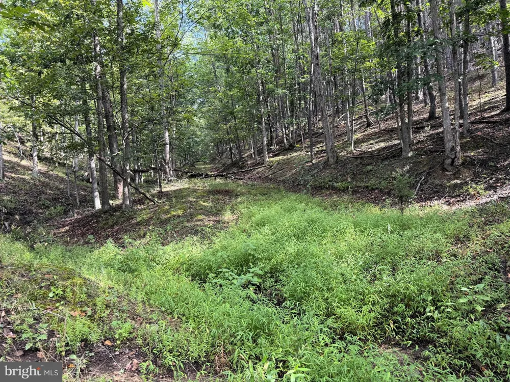 190 BLUFFS ON THE POTOMAC Romney, WV 26757
