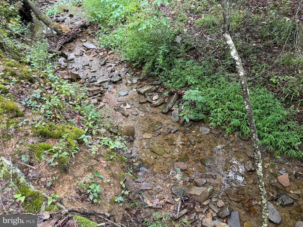 190 BLUFFS ON THE POTOMAC Romney, WV 26757
