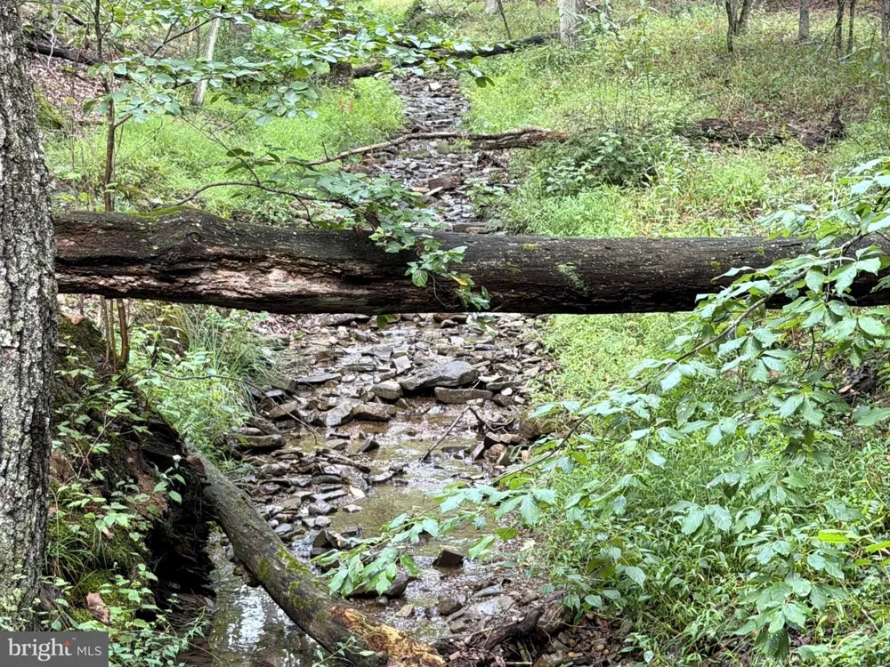 190 BLUFFS ON THE POTOMAC Romney, WV 26757