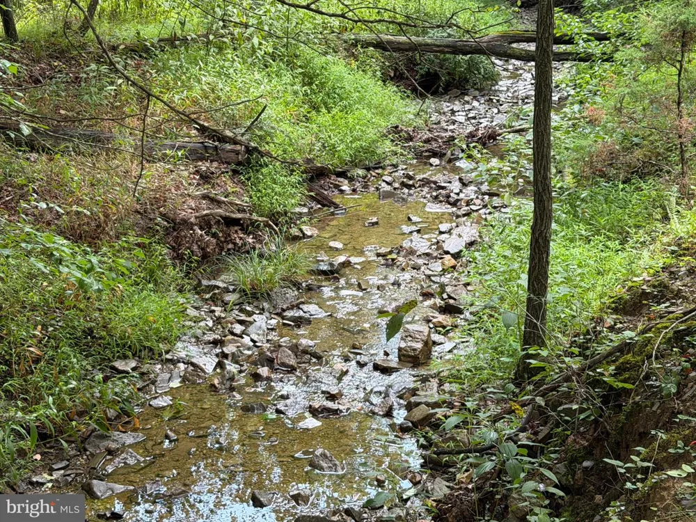 190 BLUFFS ON THE POTOMAC Romney, WV 26757