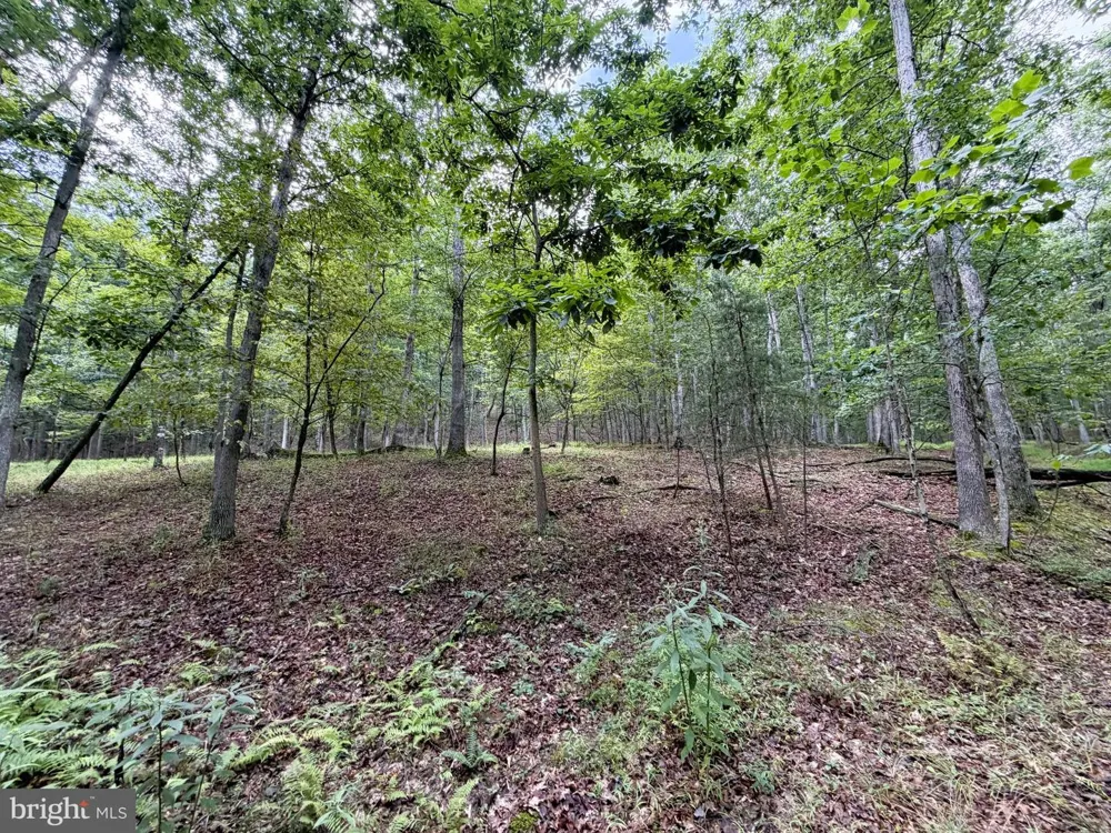 190 BLUFFS ON THE POTOMAC Romney, WV 26757