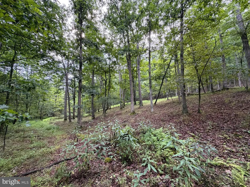190 BLUFFS ON THE POTOMAC Romney, WV 26757