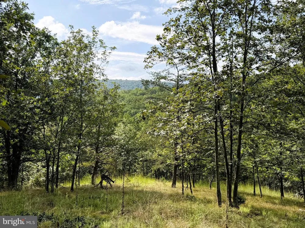 190 BLUFFS ON THE POTOMAC Romney, WV 26757