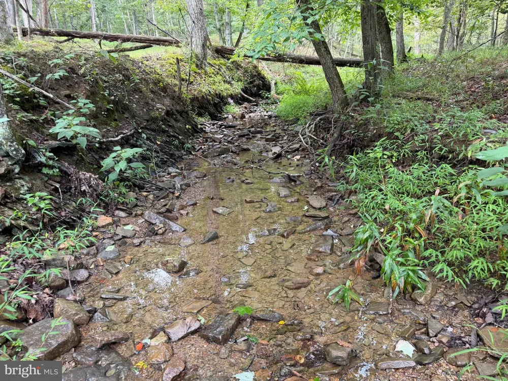 190 BLUFFS ON THE POTOMAC Romney, WV 26757