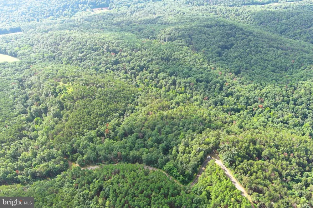190 BLUFFS ON THE POTOMAC Romney, WV 26757