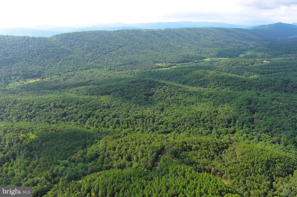 190 BLUFFS ON THE POTOMAC Romney, WV 26757