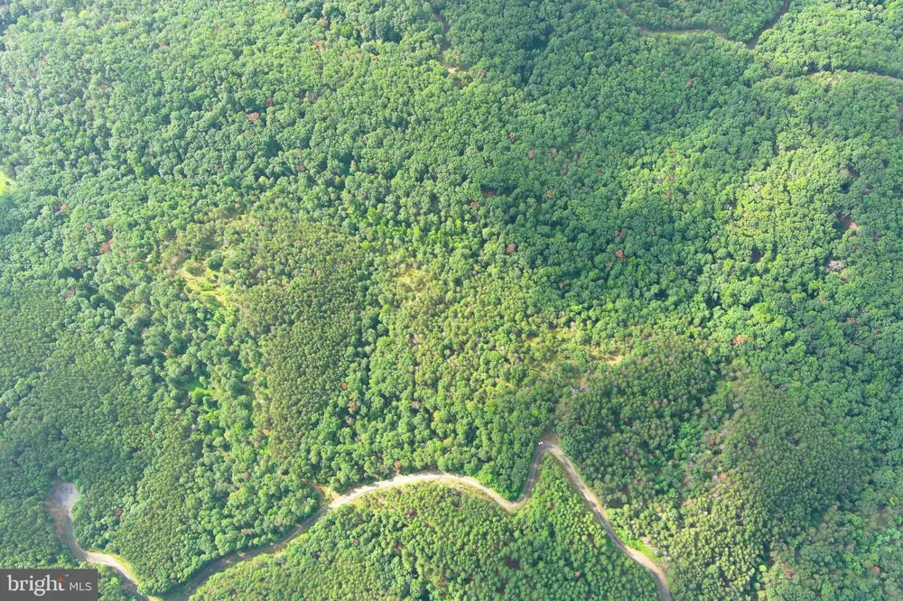 190 BLUFFS ON THE POTOMAC Romney, WV 26757