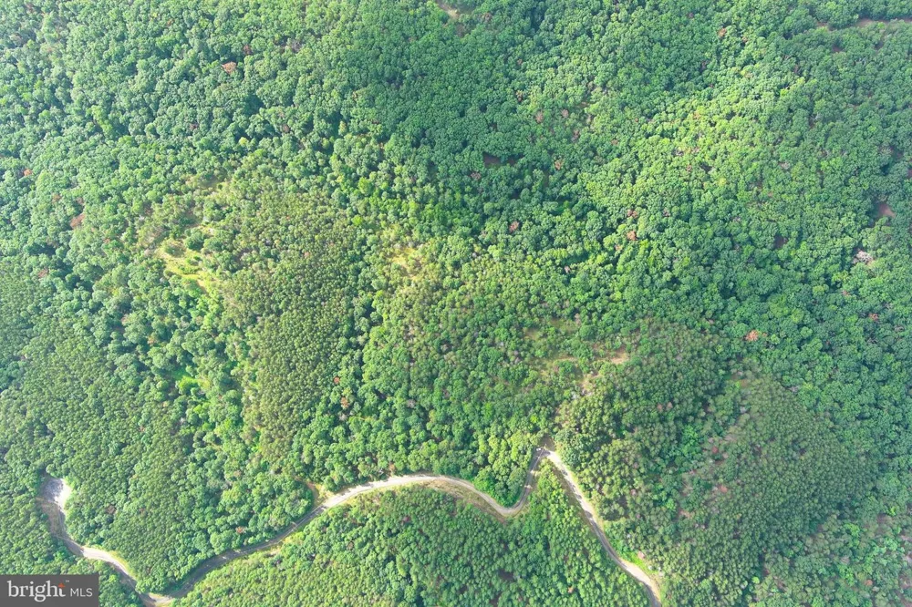 190 BLUFFS ON THE POTOMAC Romney, WV 26757