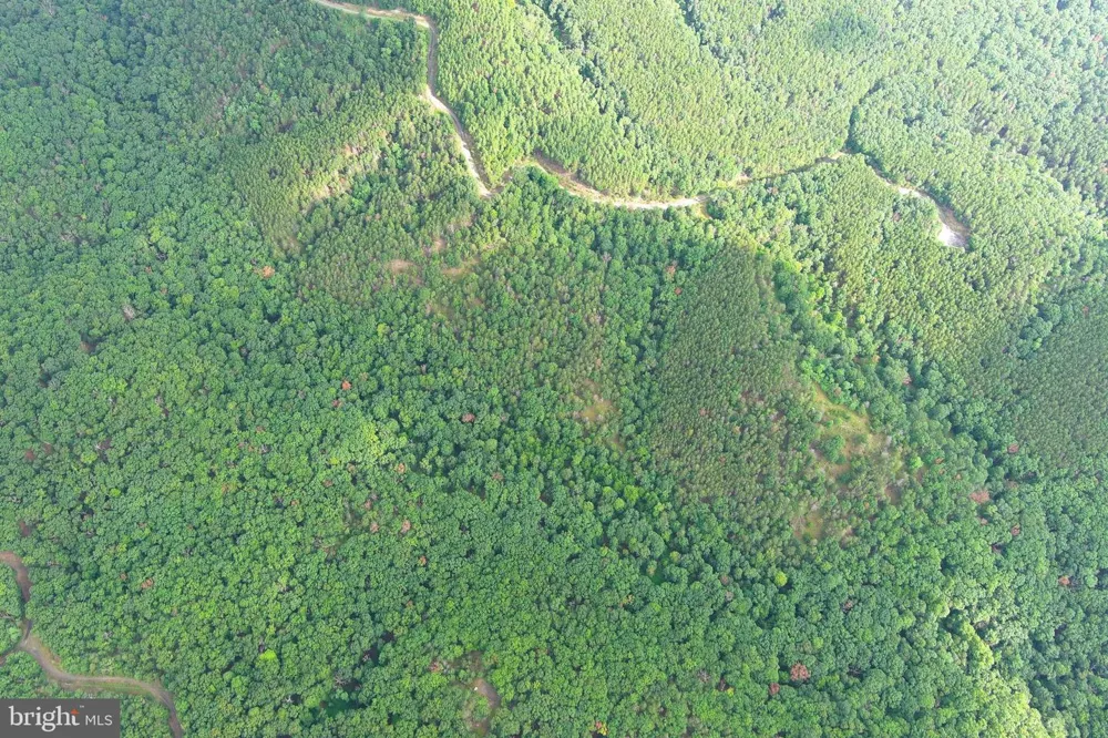 190 BLUFFS ON THE POTOMAC Romney, WV 26757
