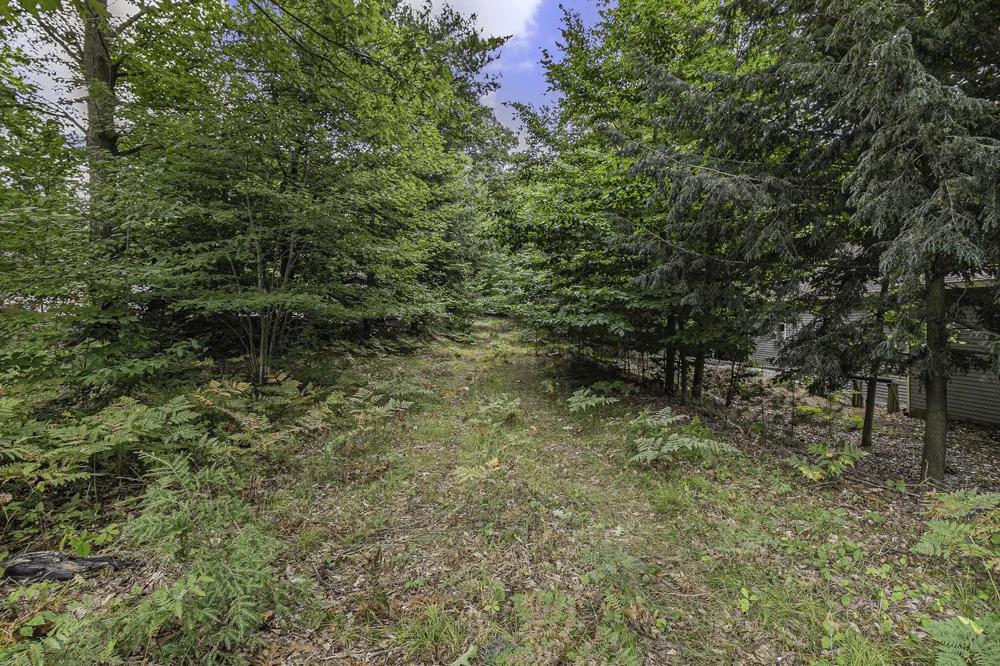 4 Pine Street Mears, MI 49436