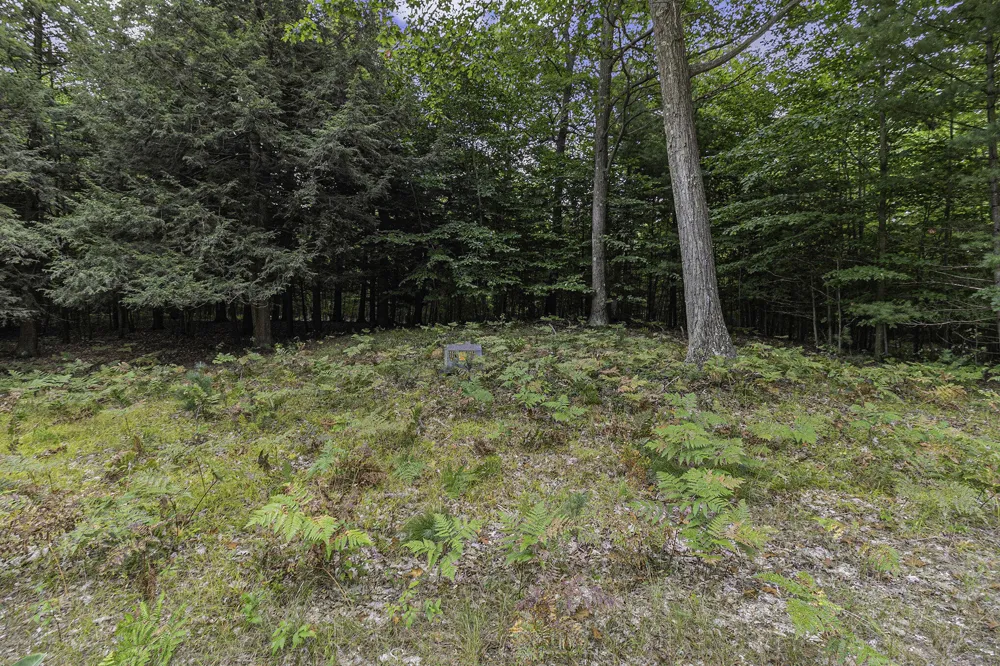 4 Pine Street Mears, MI 49436