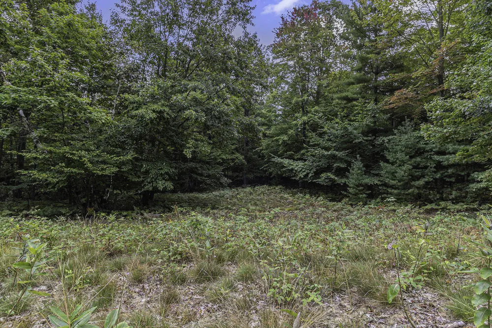 4 Pine Street Mears, MI 49436