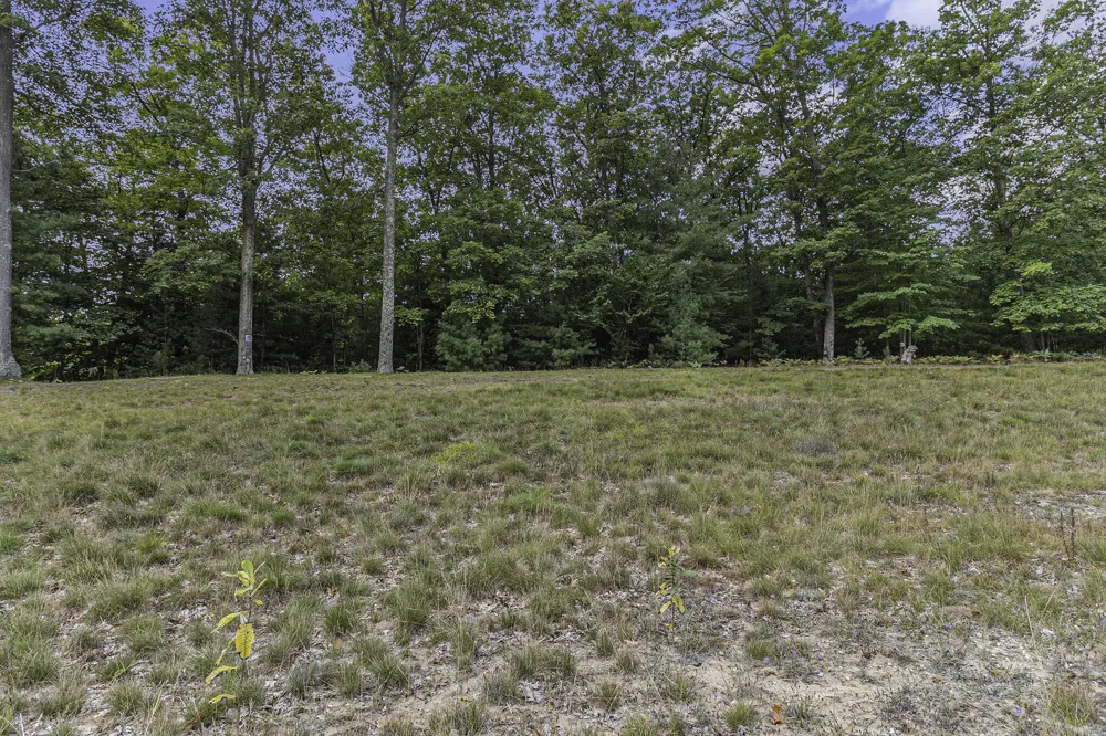 4 Pine Street Mears, MI 49436