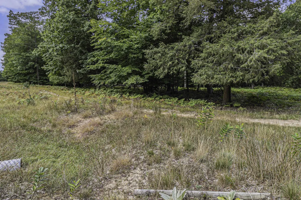 4 Pine Street Mears, MI 49436