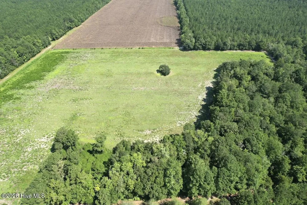 00 Ward Town Road S Whiteville, NC 28472