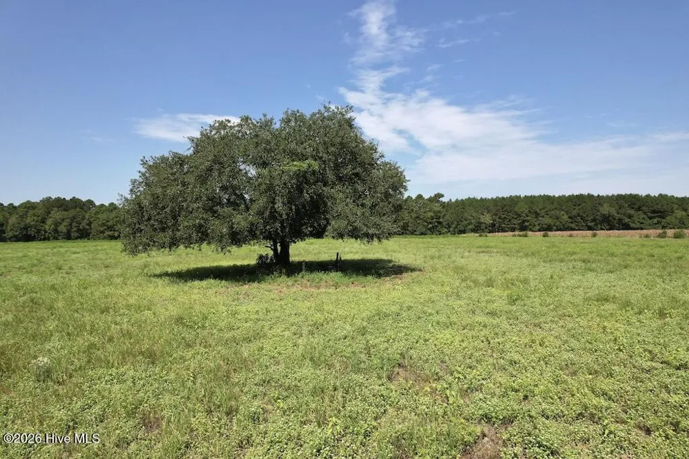 00 Ward Town Road S Whiteville, NC 28472