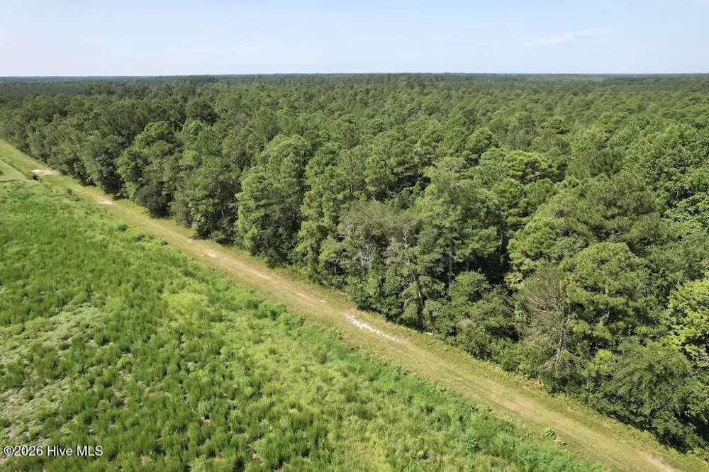 00 Ward Town Road S Whiteville, NC 28472