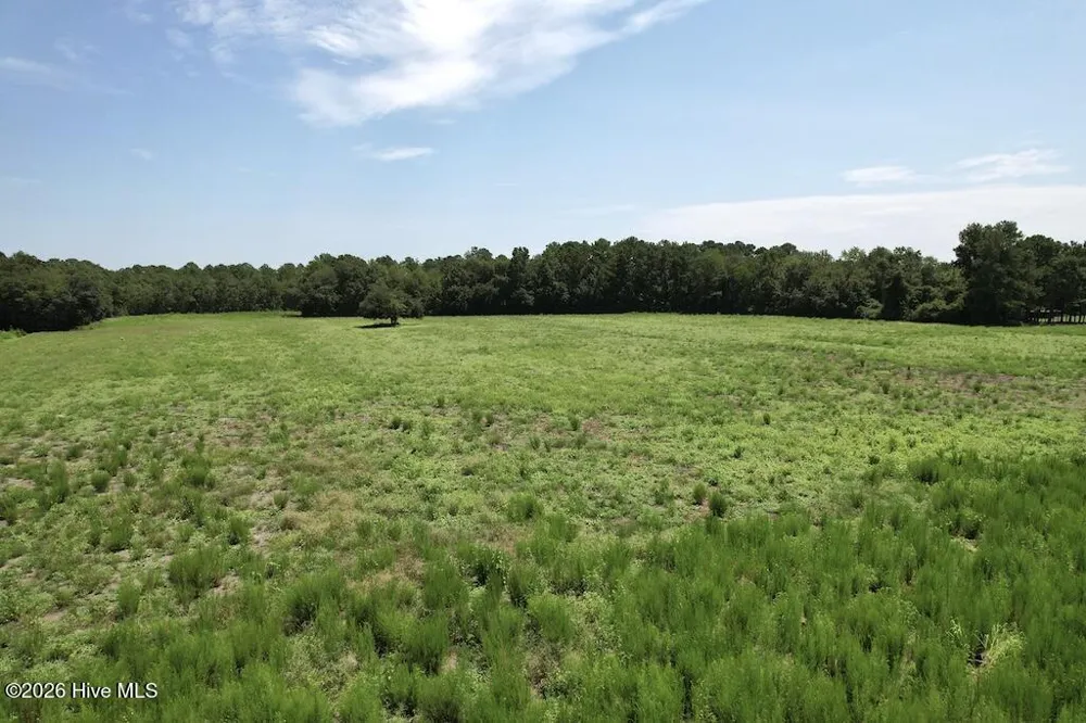 00 Ward Town Road S Whiteville, NC 28472