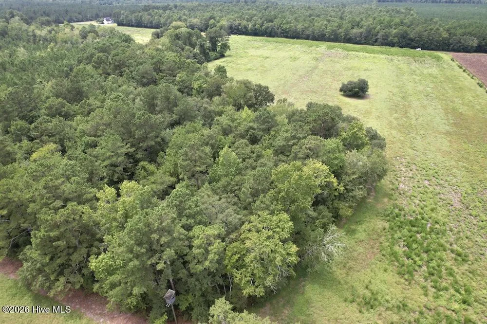 00 Ward Town Road S Whiteville, NC 28472