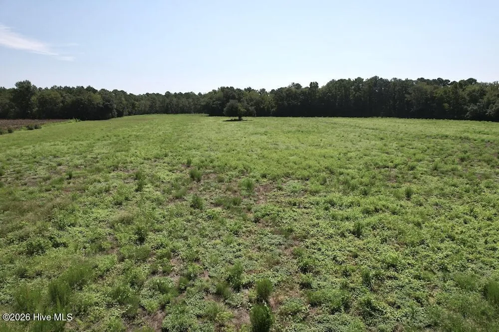 00 Ward Town Road S Whiteville, NC 28472