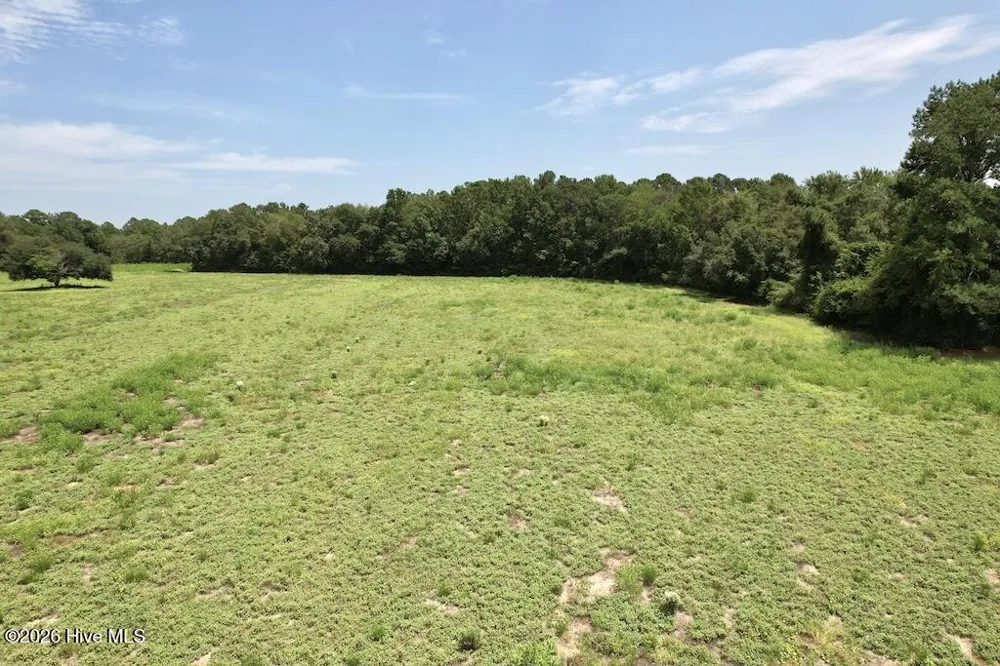 00 Ward Town Road S Whiteville, NC 28472