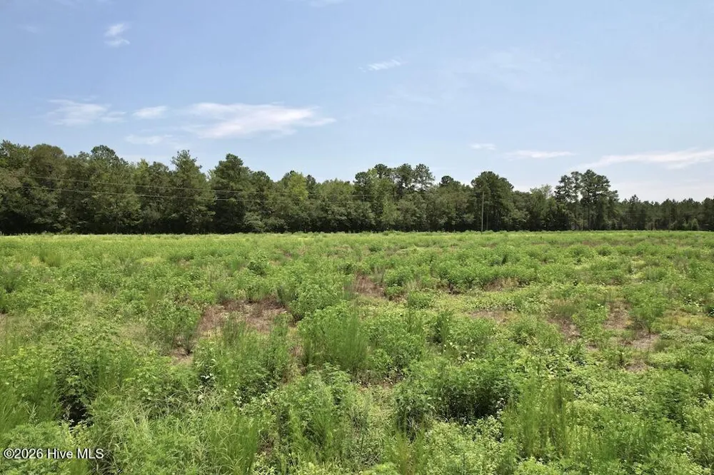 00 Ward Town Road S Whiteville, NC 28472