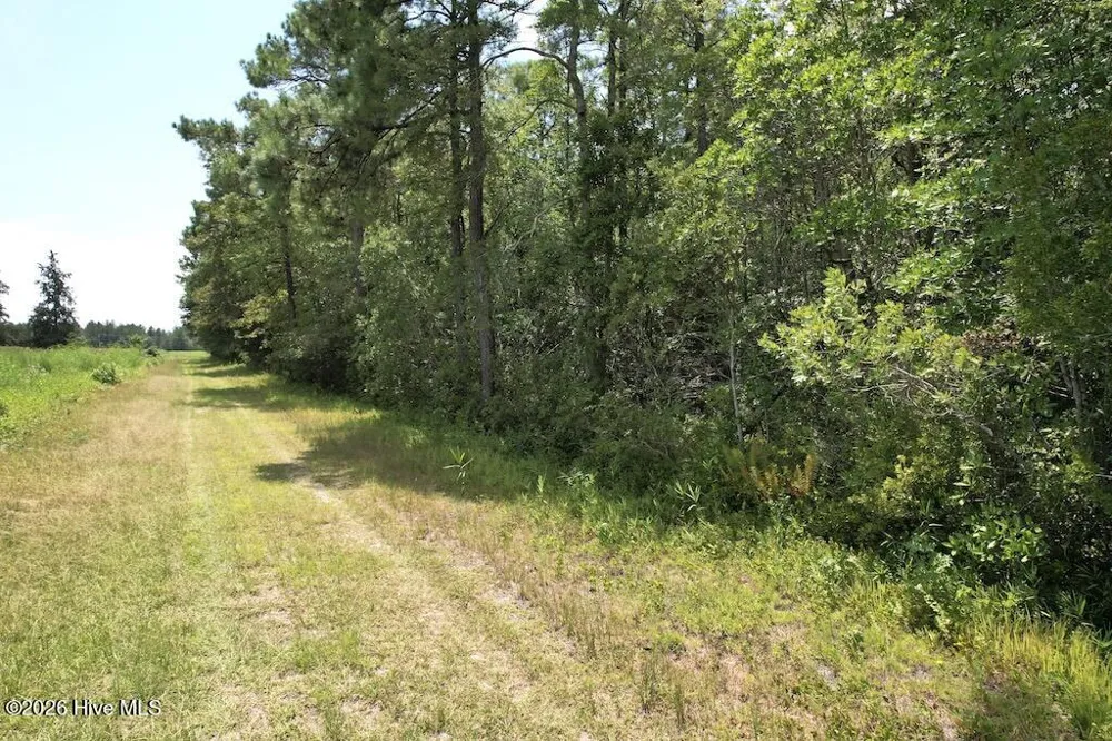 00 Ward Town Road S Whiteville, NC 28472