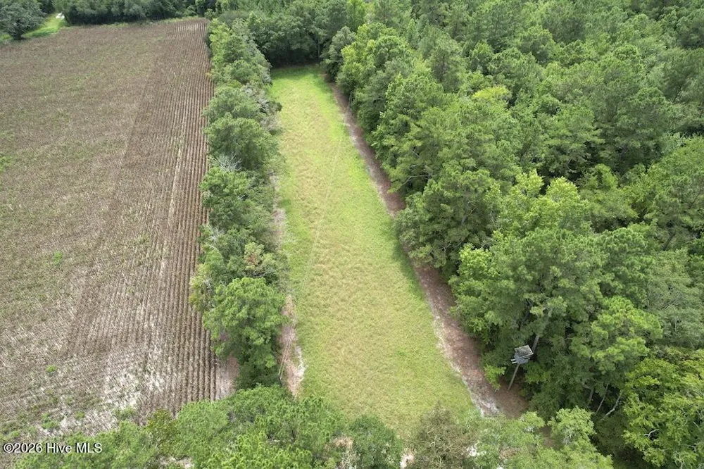 00 Ward Town Road S Whiteville, NC 28472