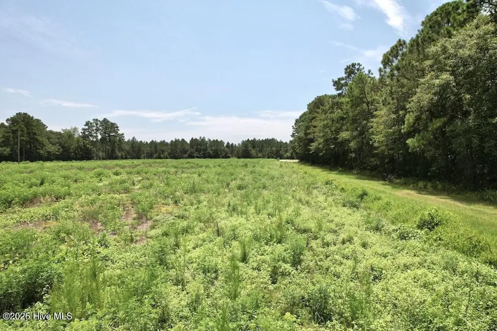 00 Ward Town Road S Whiteville, NC 28472