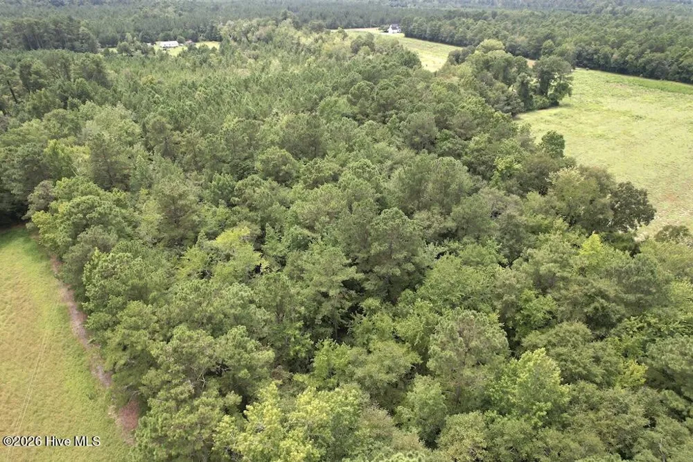 00 Ward Town Road S Whiteville, NC 28472