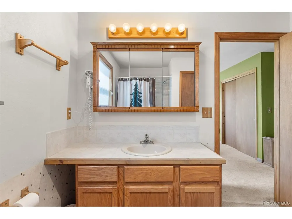 408 Foxtail Lane Fairplay, CO 80440