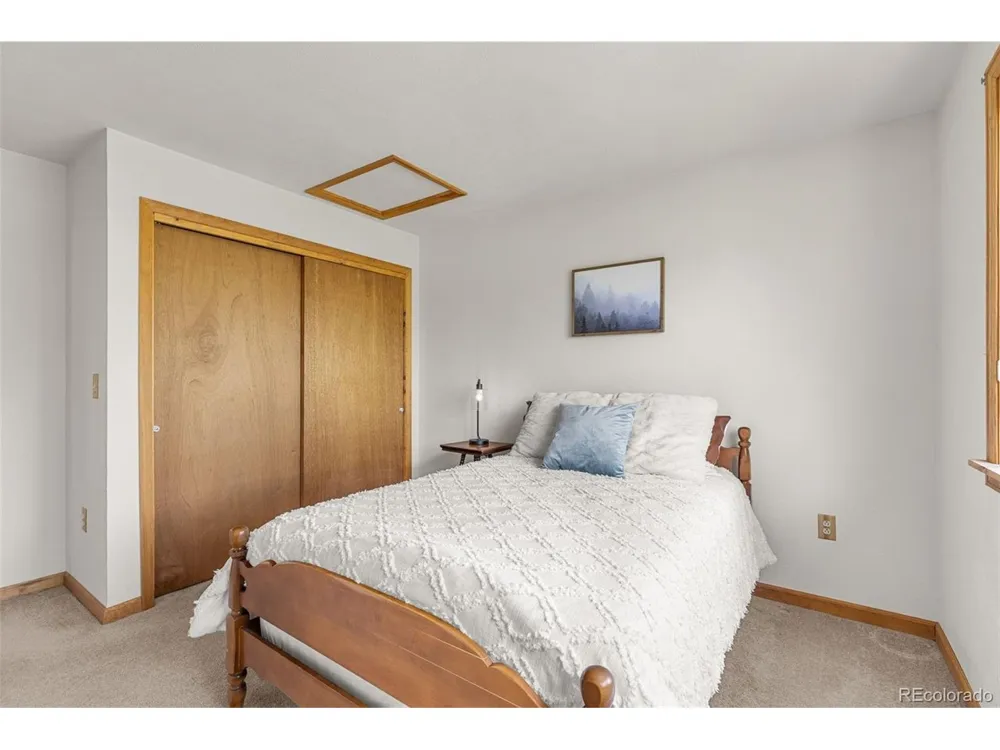408 Foxtail Lane Fairplay, CO 80440