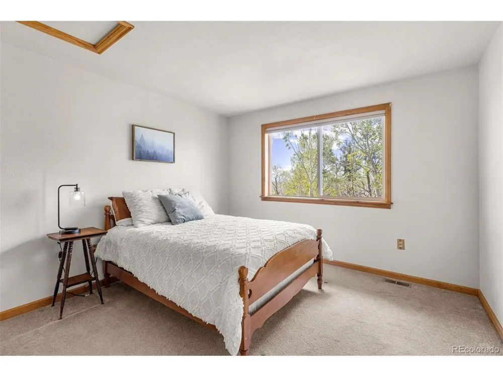 408 Foxtail Lane Fairplay, CO 80440