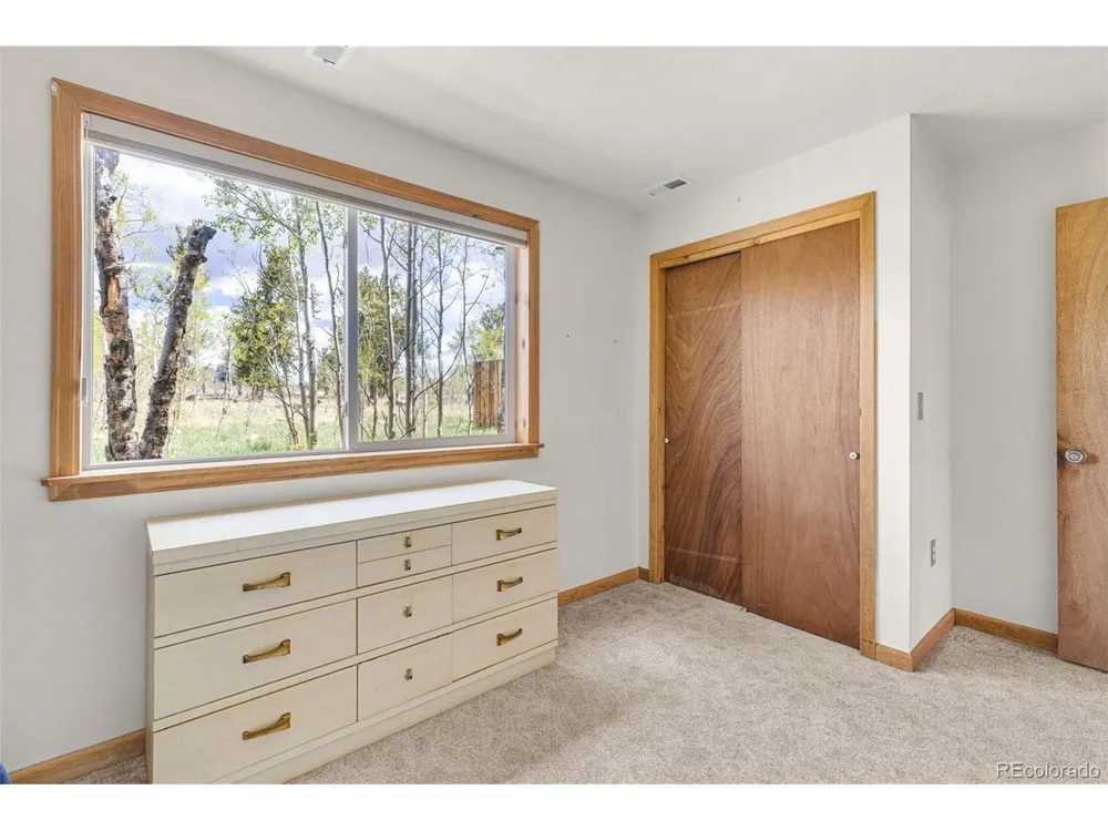 408 Foxtail Lane Fairplay, CO 80440
