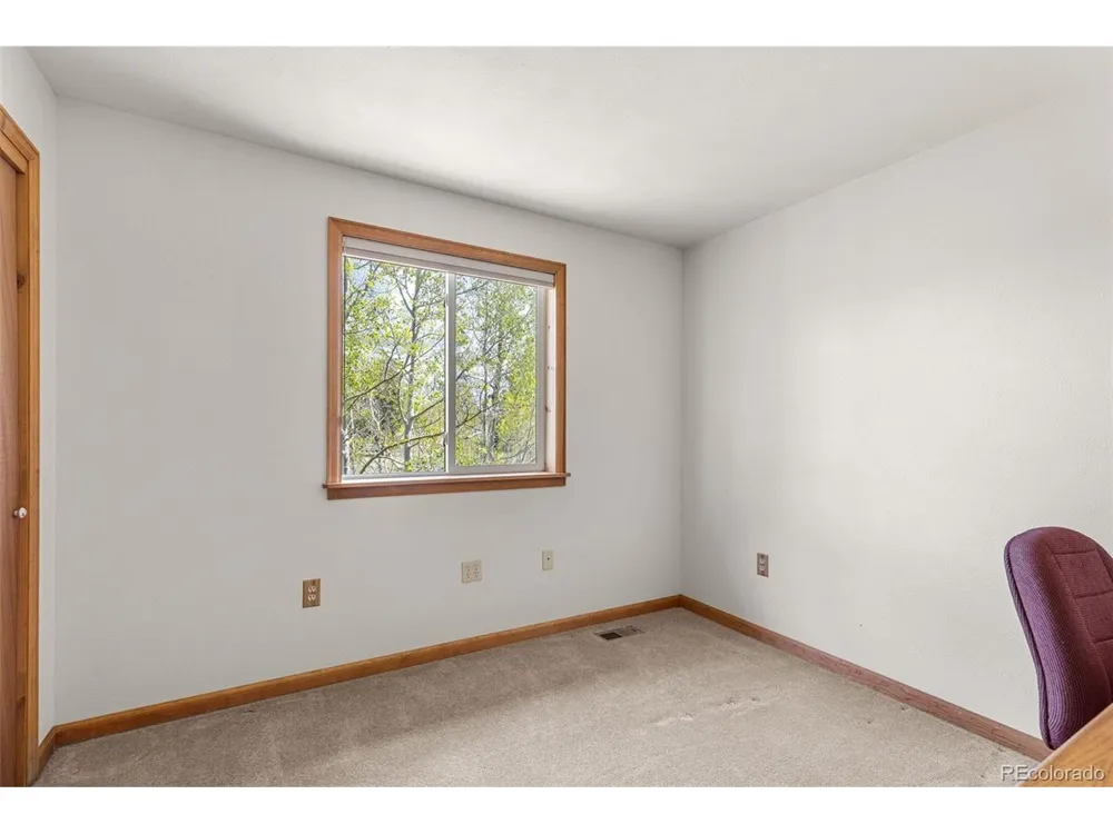 408 Foxtail Lane Fairplay, CO 80440