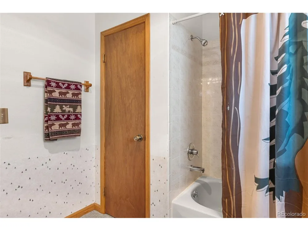 408 Foxtail Lane Fairplay, CO 80440