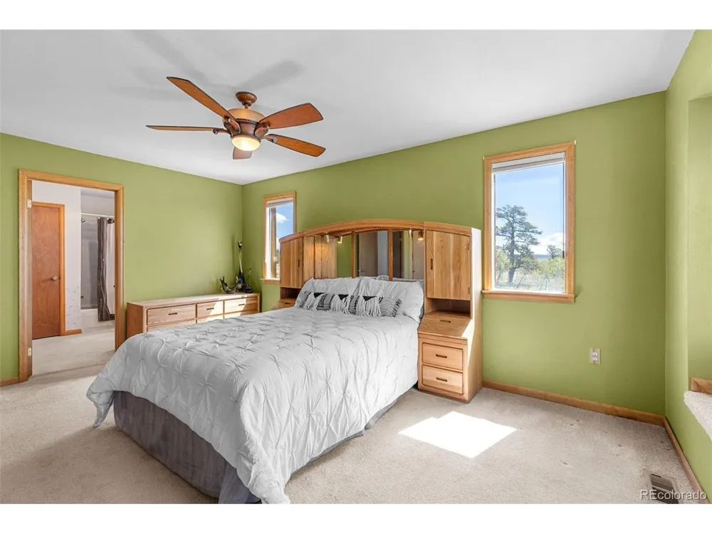 408 Foxtail Lane Fairplay, CO 80440