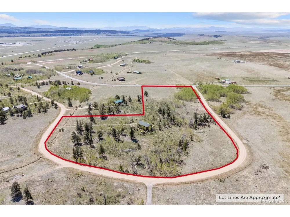408 Foxtail Lane Fairplay, CO 80440
