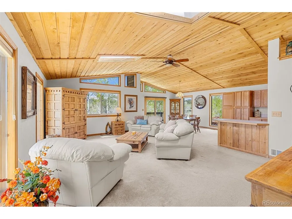 408 Foxtail Lane Fairplay, CO 80440
