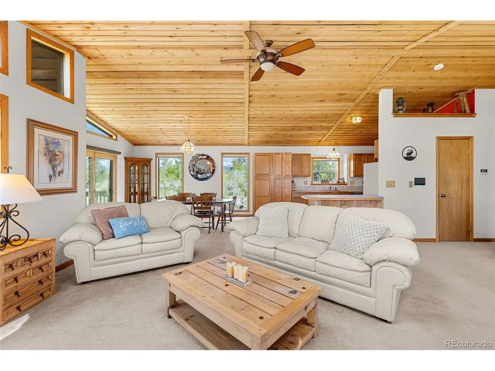 408 Foxtail Lane Fairplay, CO 80440