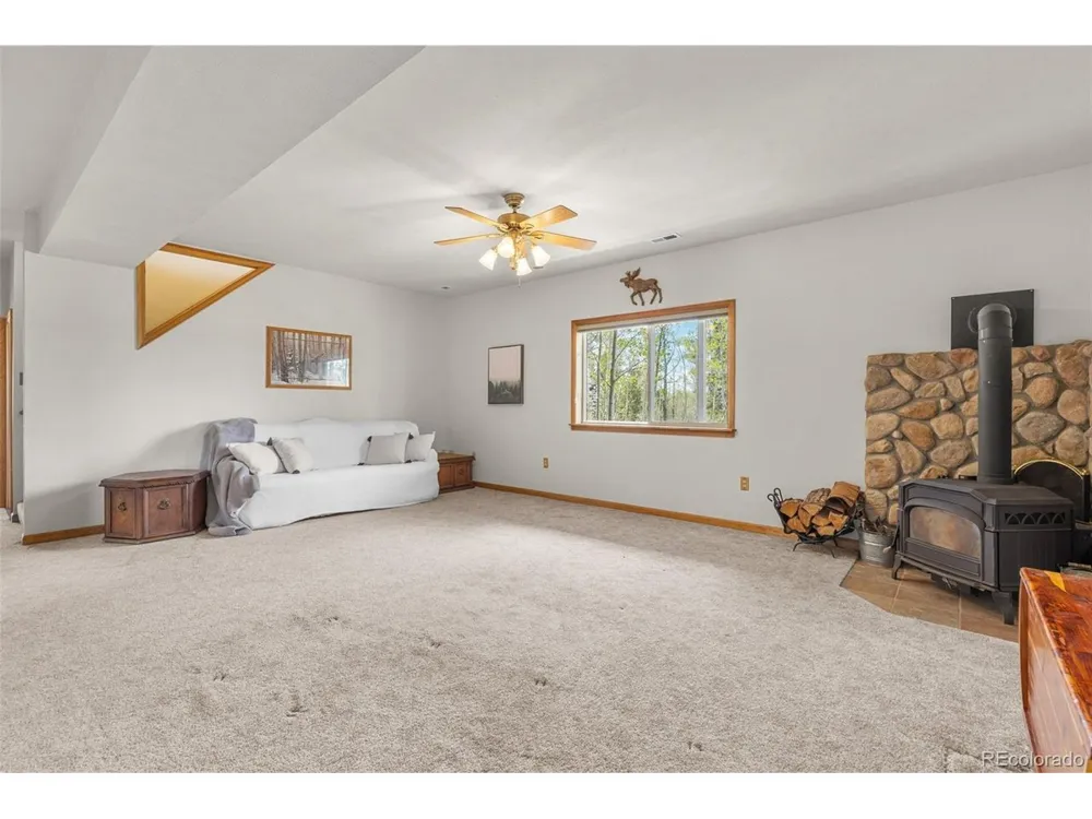 408 Foxtail Lane Fairplay, CO 80440