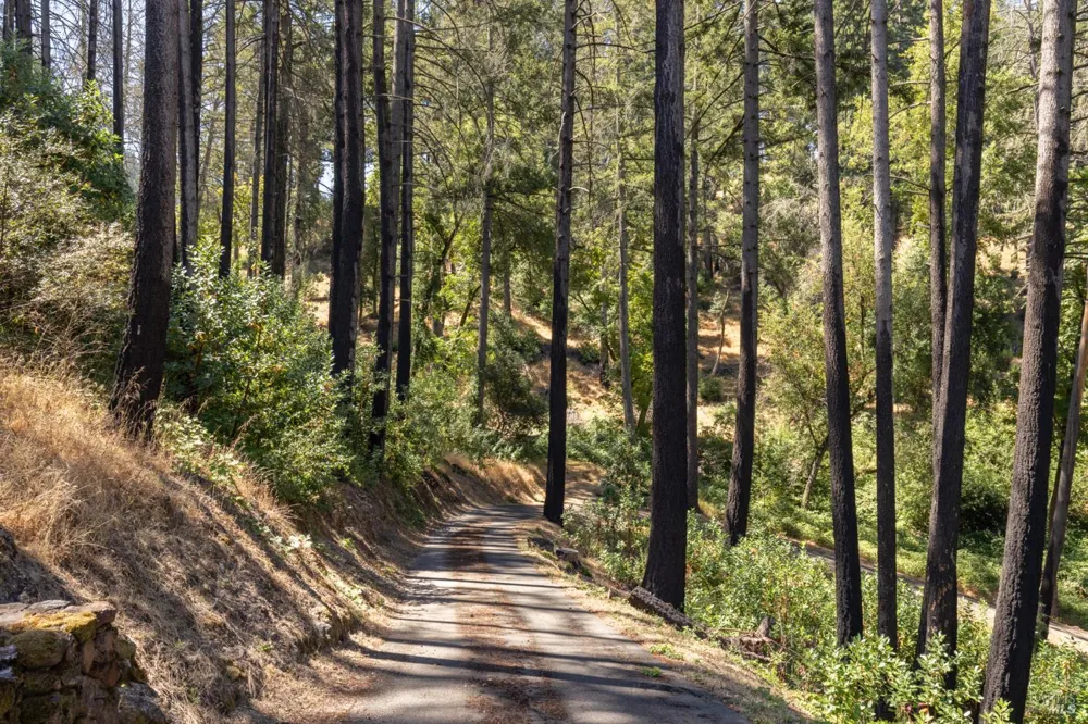 7007 Dry Creek Road Napa, CA 94558