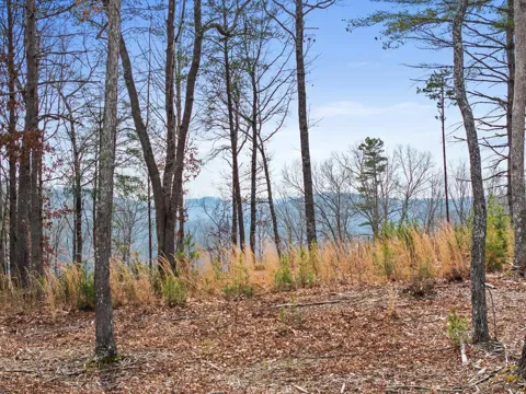 Lot 162 Ridge Drive