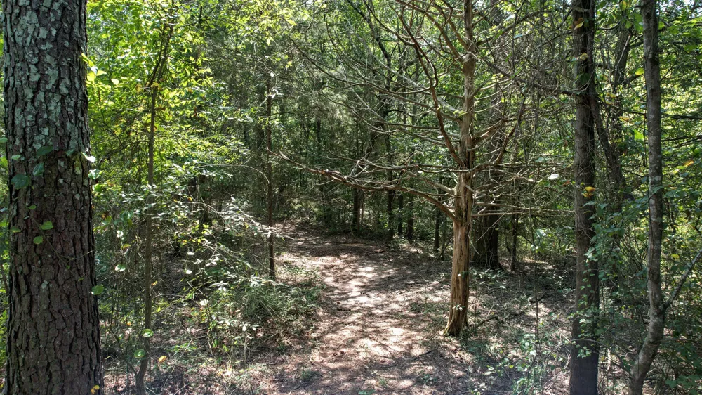 300 Mcclure Road Benton, TN 37307