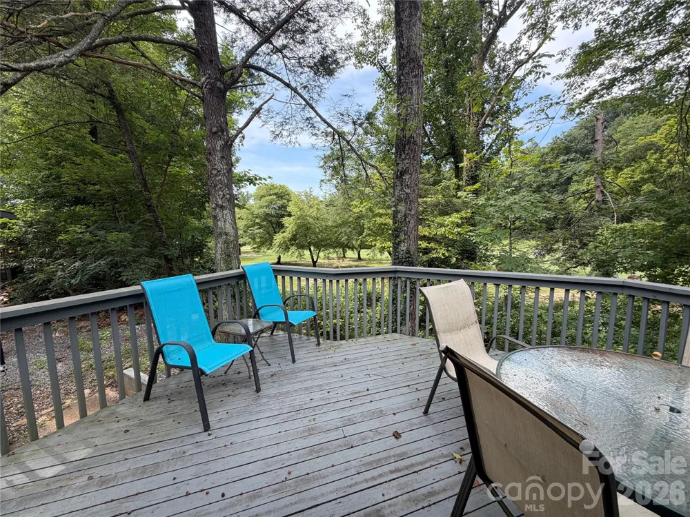 429 Mountains Boulevard #C101 Lake Lure, NC 28746