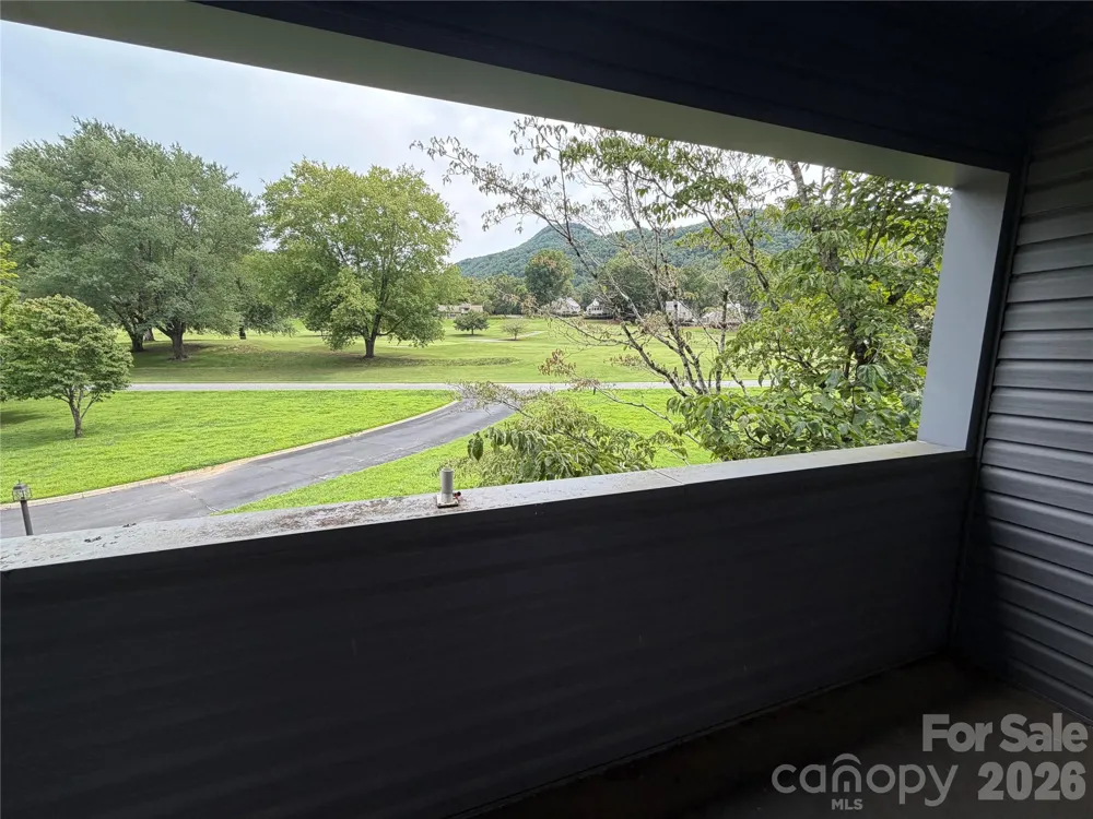 429 Mountains Boulevard #C101 Lake Lure, NC 28746