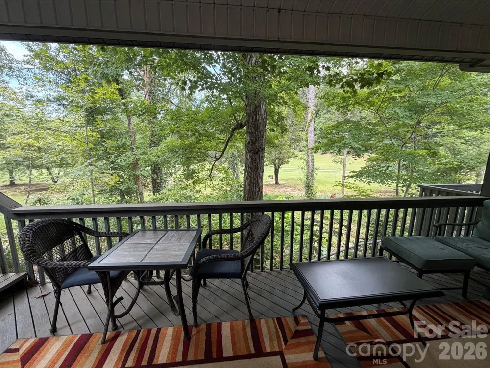 429 Mountains Boulevard #C101 Lake Lure, NC 28746