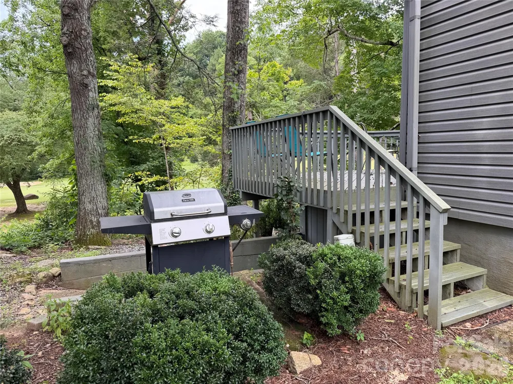 429 Mountains Boulevard #C101 Lake Lure, NC 28746