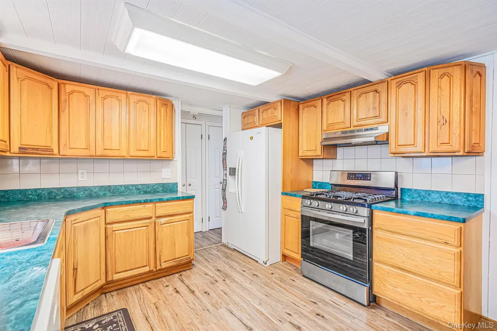 44 Buckskin Lane Selden, NY 11784