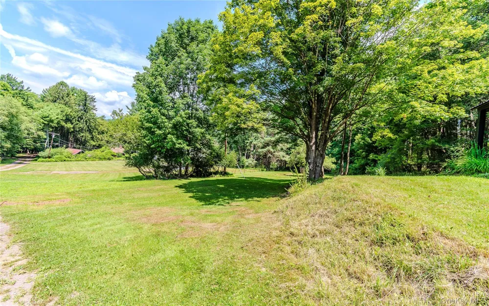 63 Cape Road Youngsville, NY 12791